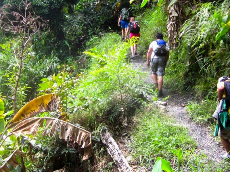 inca-jungle-trek2